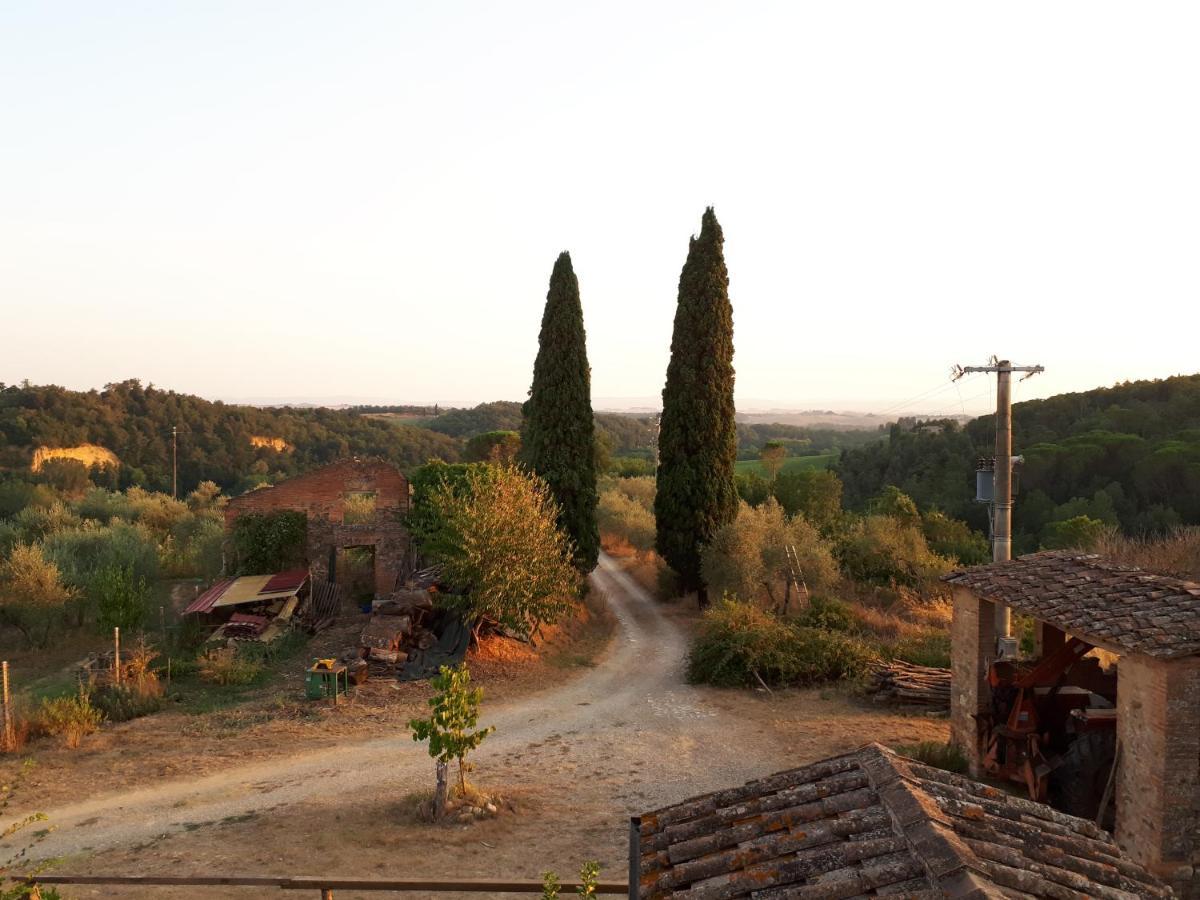 Podere Calcinaia Castelnuovo Berardenga Exteriér fotografie