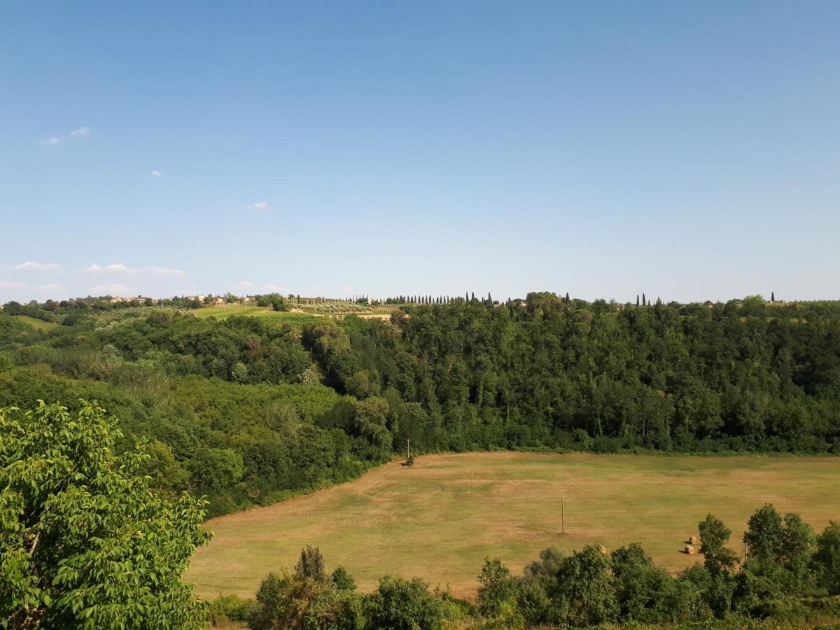Podere Calcinaia Castelnuovo Berardenga Exteriér fotografie