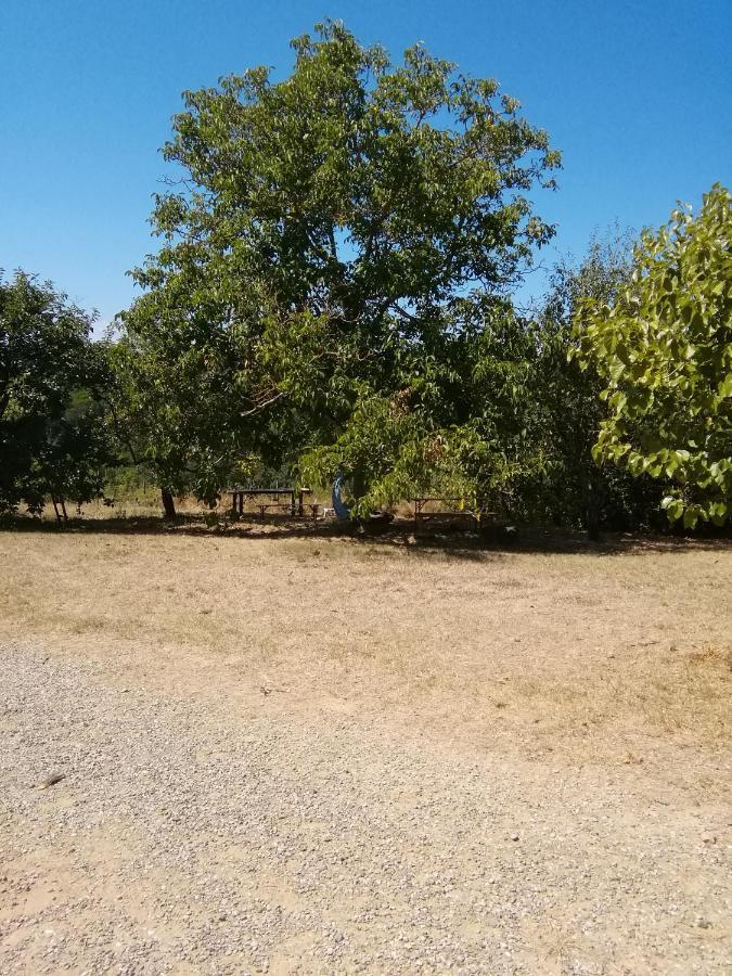 Podere Calcinaia Castelnuovo Berardenga Exteriér fotografie