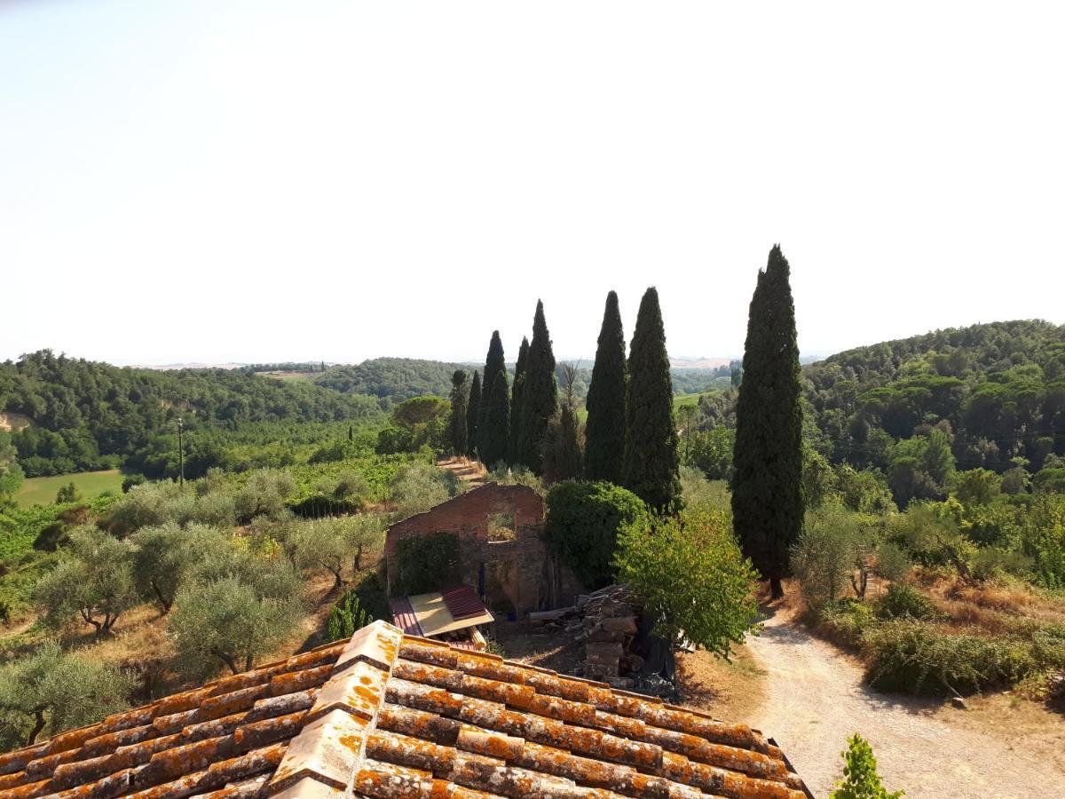Podere Calcinaia Castelnuovo Berardenga Exteriér fotografie