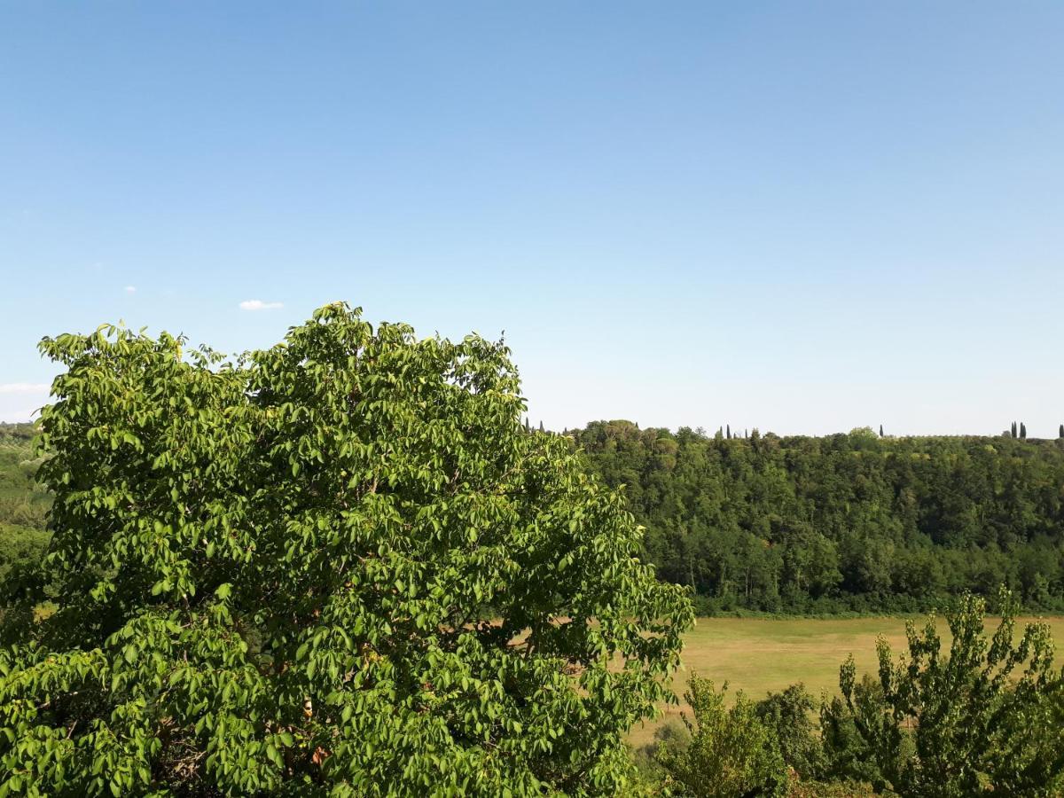 Podere Calcinaia Castelnuovo Berardenga Exteriér fotografie